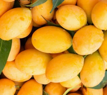 3066 e1752679430537 360x320