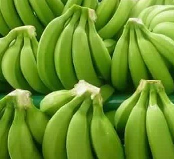 IMG 20250725 WA0005 e1753426373705 349x320