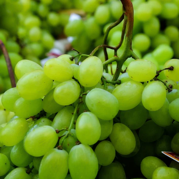 Close up grapes sale market stall 600x600